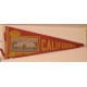 Southern California pennant with picture of team.