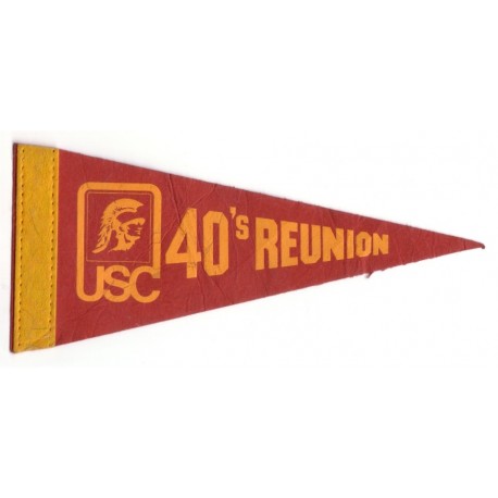 40's reunion mini pennant